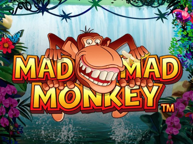 Mad MAd monkey