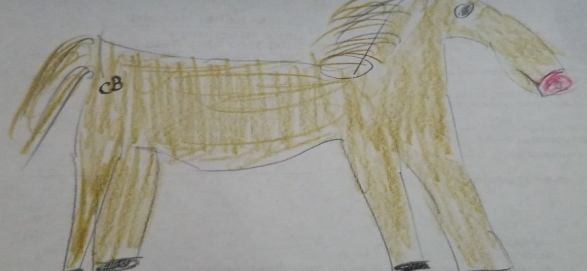 mustang