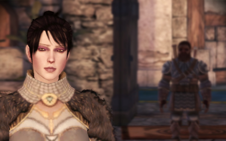The Dragon Age Warden and Morrigan