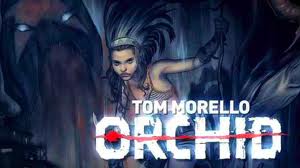 Tom Morello Orchid
