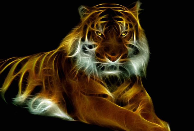 Glowing_Tiger_by_mceric